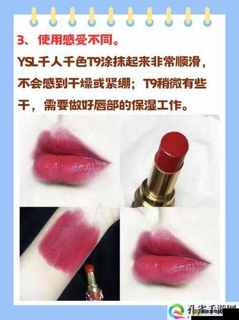 ysl 千色 t9t9t9 经典魅力永流传