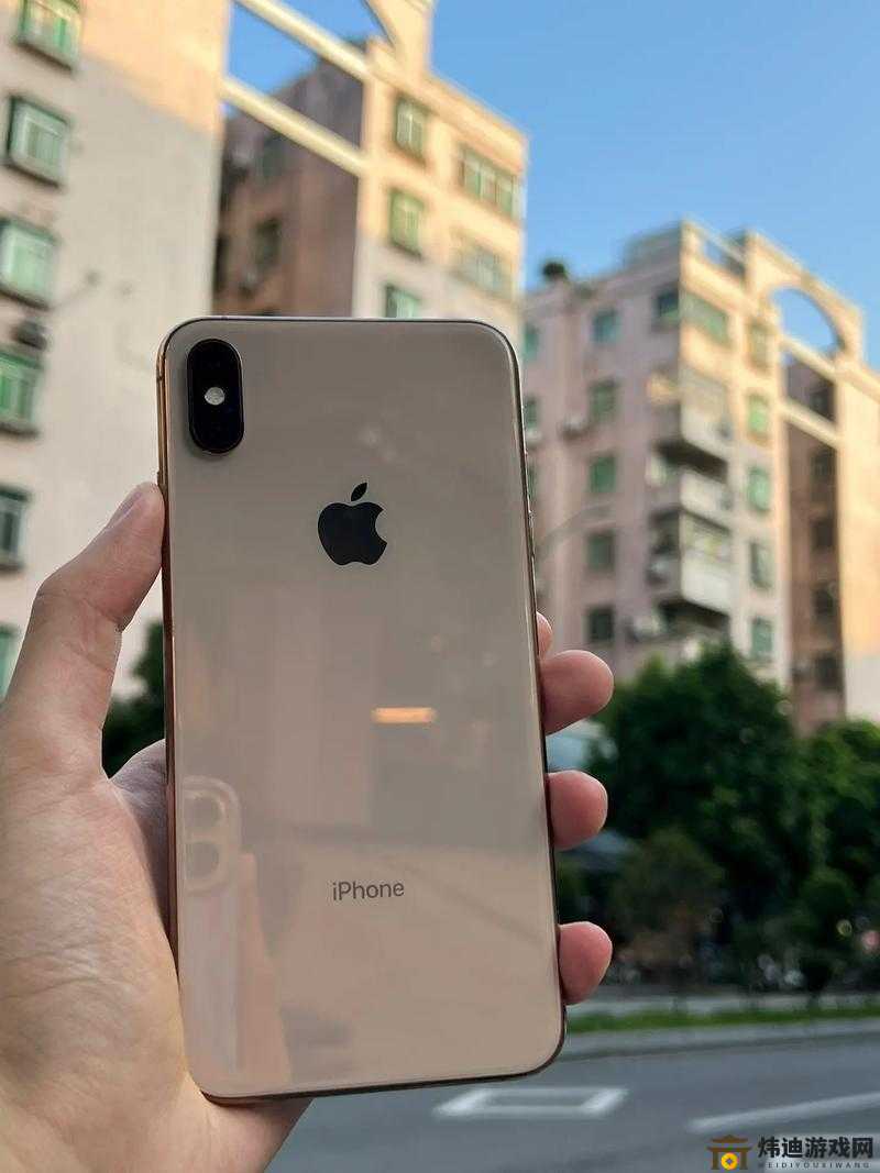 IPHONEXSMAX 欧美高级：手机中的贵族