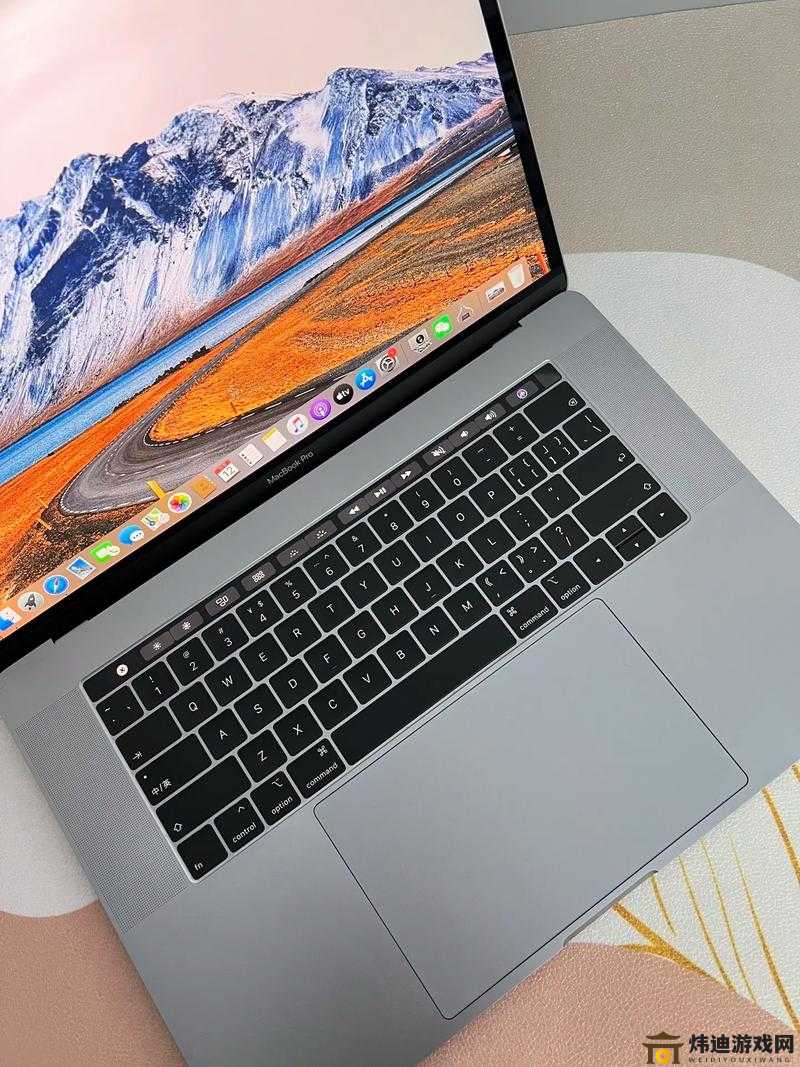 18 岁的 MacBook Pro：青春与科技的完美结合