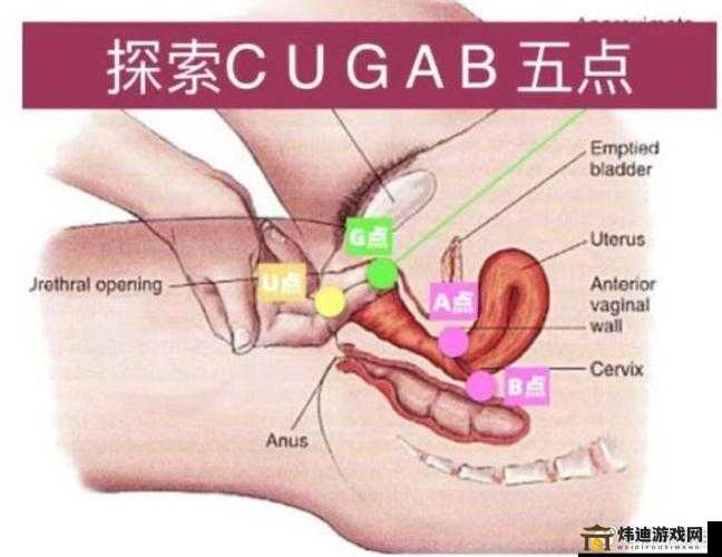 吴梦梦肛交：探索性爱的极致体验