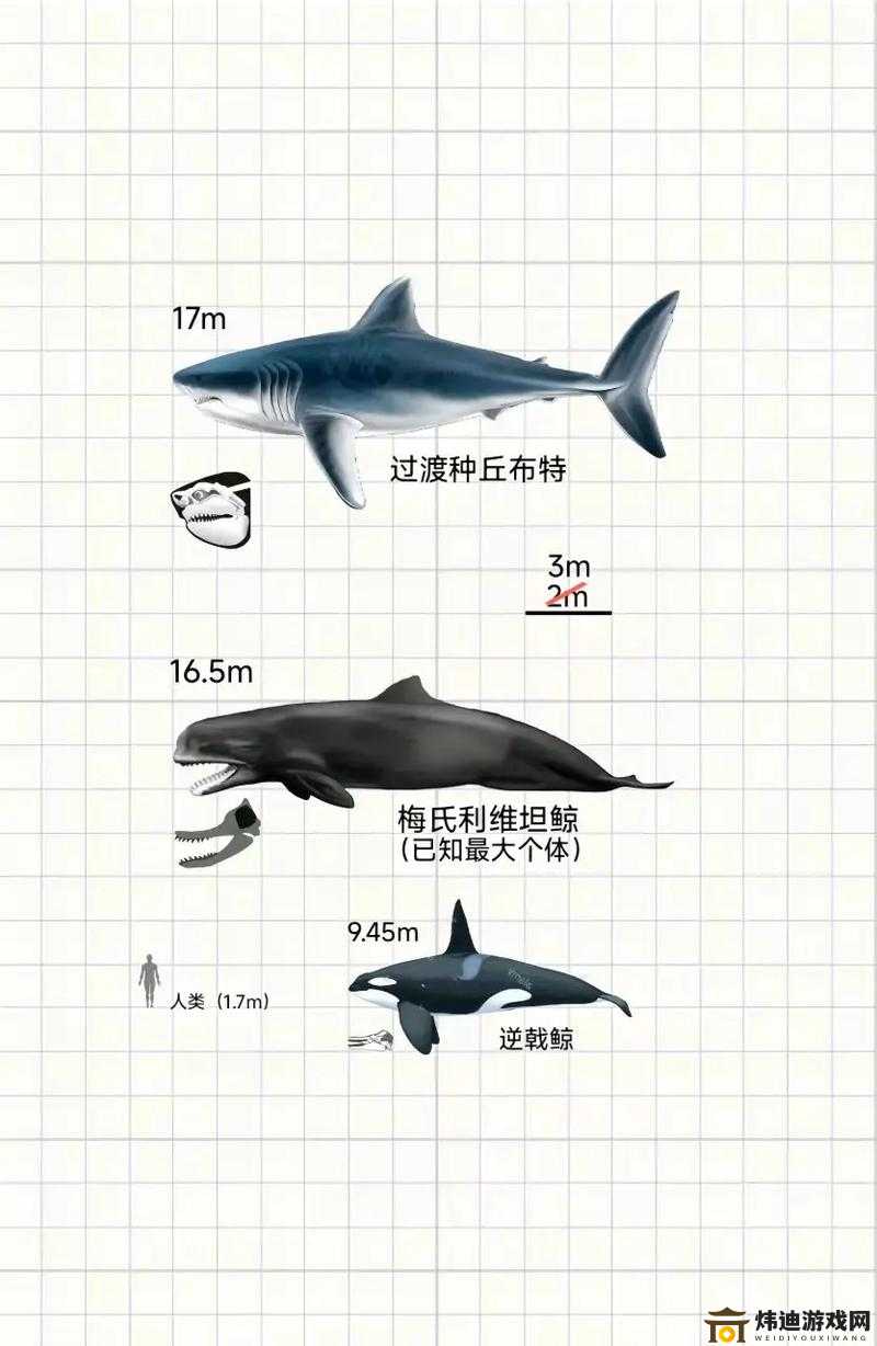 方舟指令利维坦获取全攻略 详细解析如何获得利维坦的多种方法与技巧