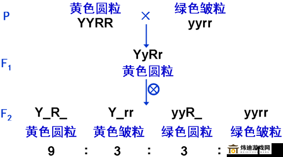 9 浅 1 深左 3 右 3 图解：详细解析