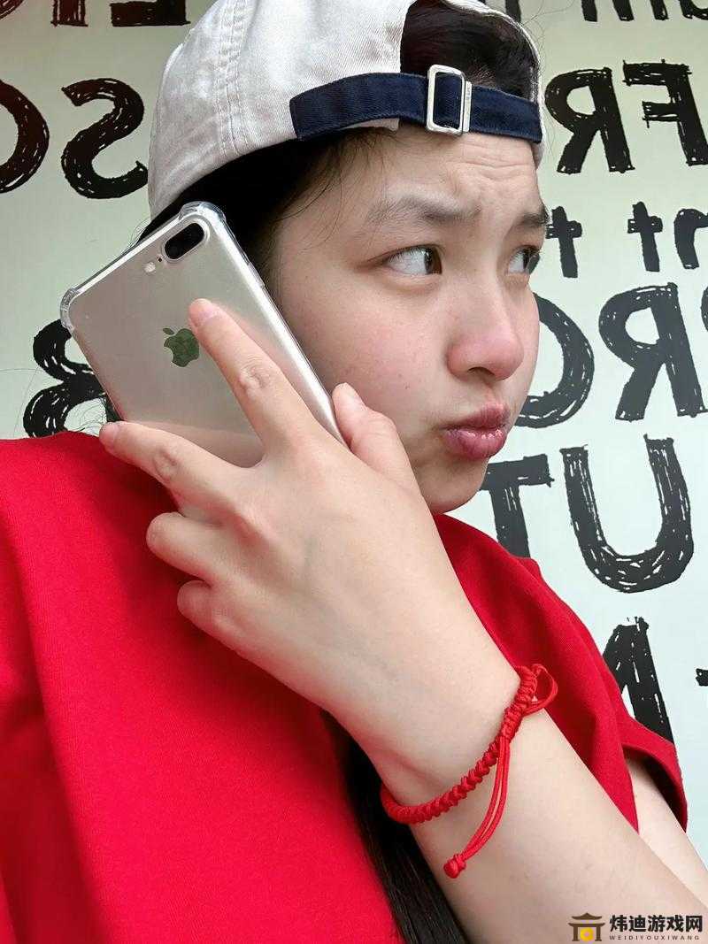 日本妈妈 linodeiphone69：一个家庭的故事