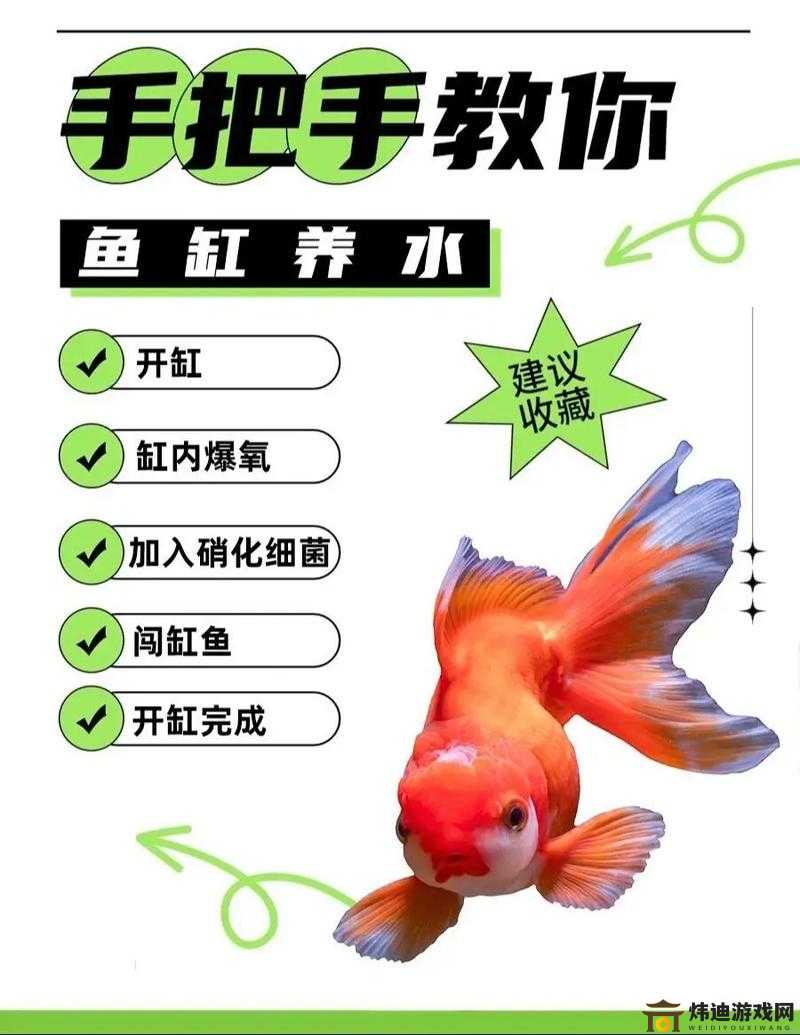 明日之后水族箱制作全攻略 鱼缸获取方法详细解析及步骤指南