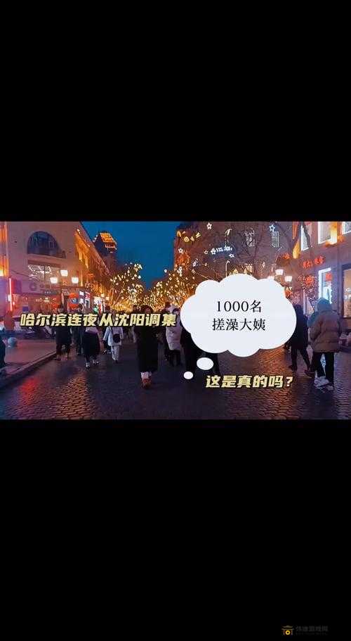 沈阳大姨的声音为什么那么好听：东北特色与语言魅力