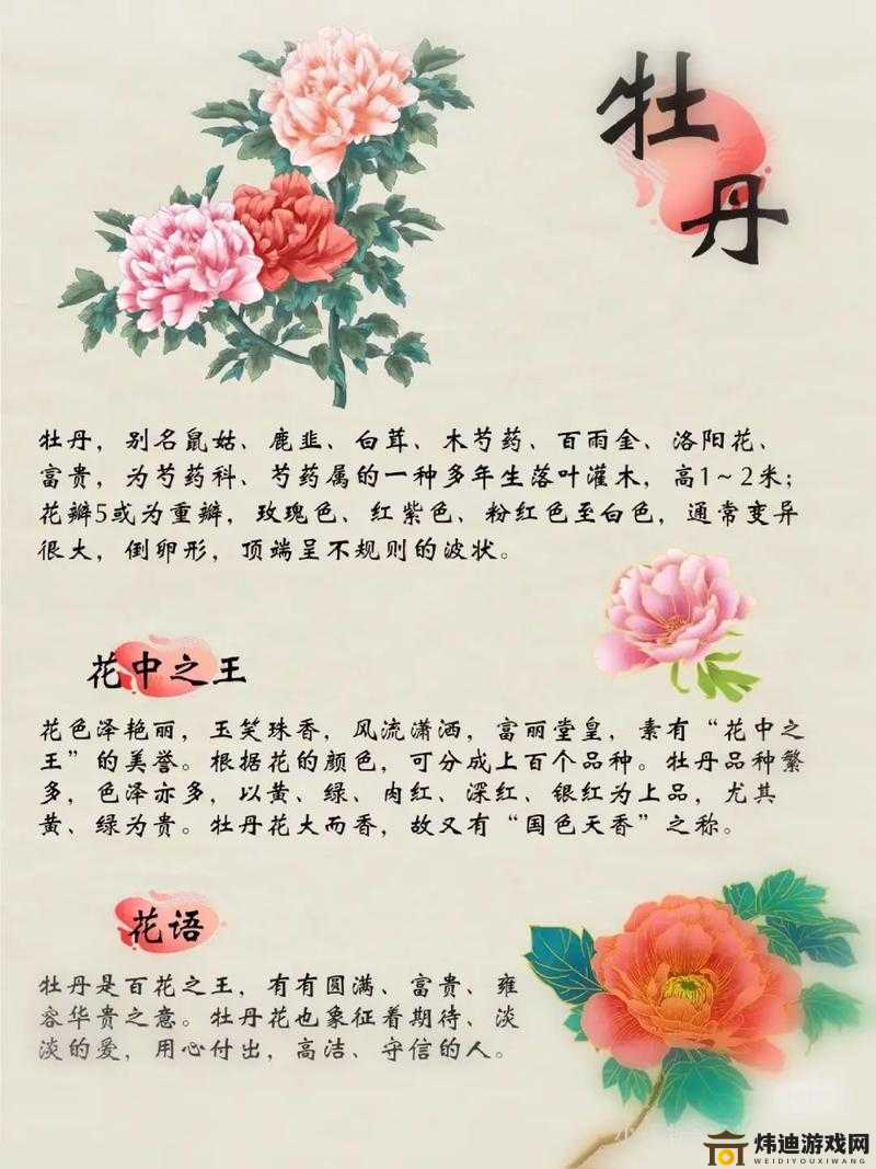 亭亭玉立国色天香四月天科普：花卉之美与科学