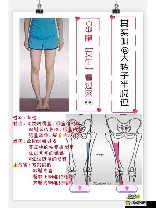 腿分太开会不紧吗：解密身体柔韧度与健康的关系