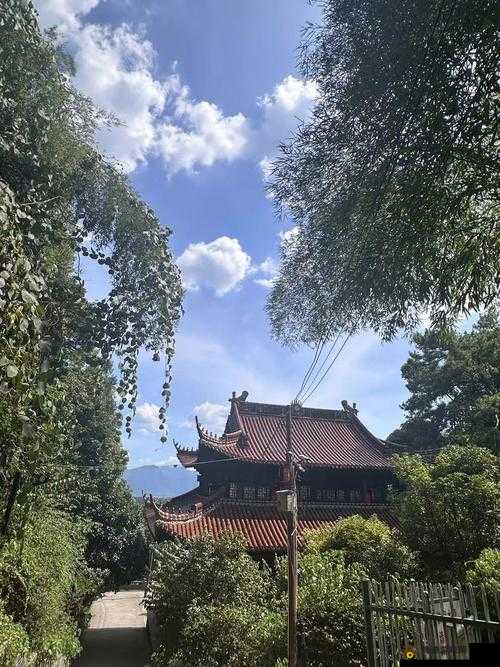 王氏寺庙快活几天：探秘古寺的悠然时光