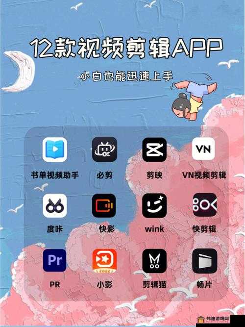 成品禁用短视频app网站下载：全面解析及替代方案