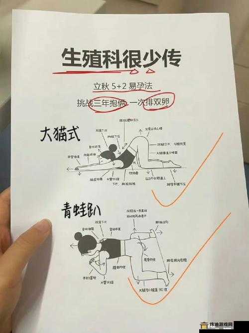 怎么拔萝卜更快：掌握最佳技巧和工具