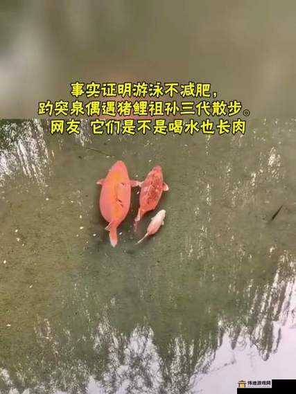 女人绝技鲤鱼喝水：惊艳江湖的绝世技艺