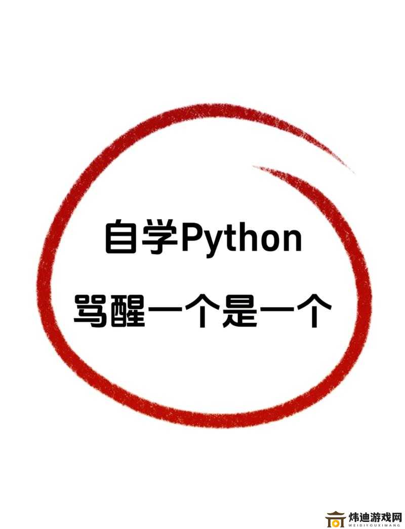 PYTHON人马大战CSDN：编程界的巅峰对决