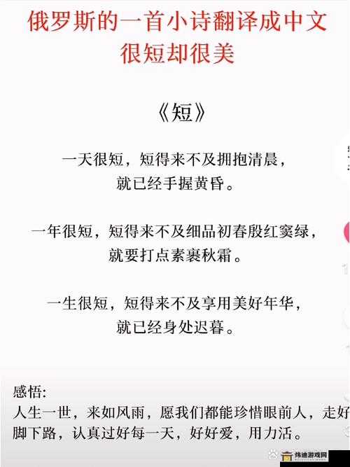 我的小后妈中文翻译：从字面到情感的跨越