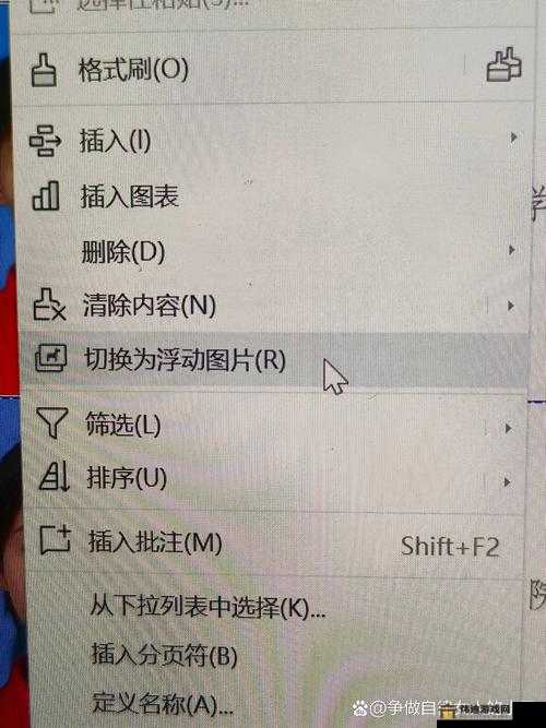 EXCEL中文文字乱码生成的艺术探索