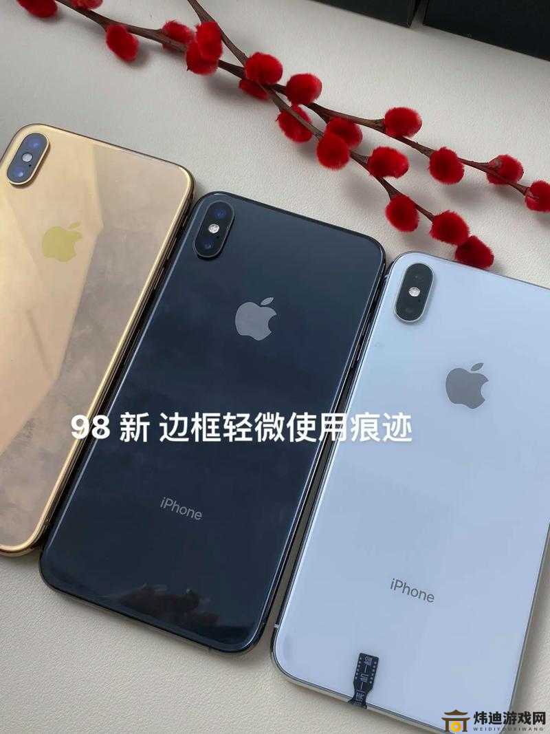 IPHONEXSMAX欧美市场的崛起与未来发展