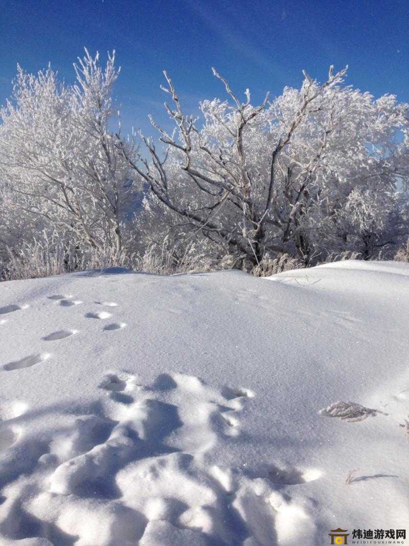 两团雪球快速摇动 冬日奇景现身