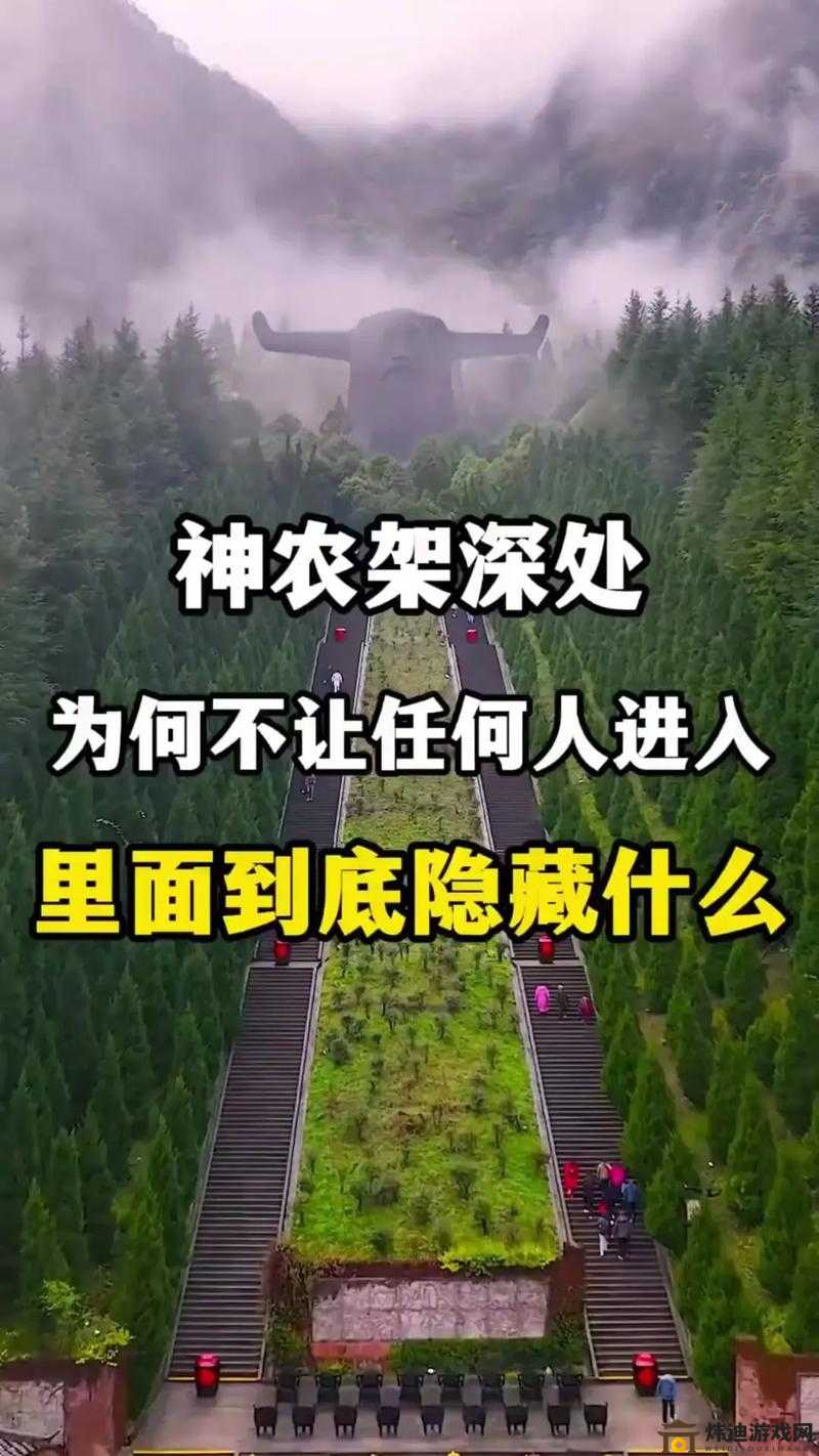 探秘神秘之境：逃不出的船究竟好不好玩？全面解析