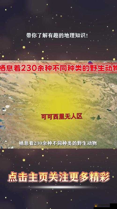 无人区码一码二码三码区：探险者的禁地