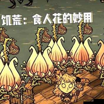 饥荒合辑版：青蛙与食人花的互利共生之道