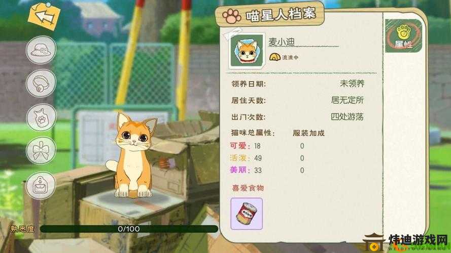 小森生活猫粮获取攻略：揭秘猫粮获取途径及方式览