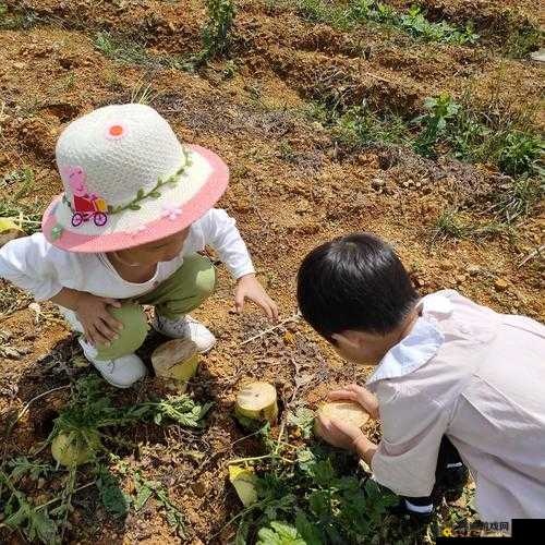 一小孩跟姐姐玩萝卜游戏：童趣时刻